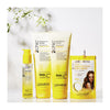Pineapple & Ginger - Ultra Revive 3 in Hair Revial System